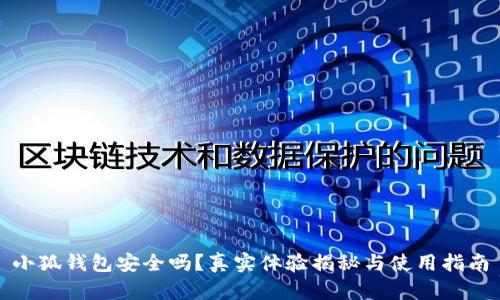 小狐钱包安全吗？真实体验揭秘与使用指南