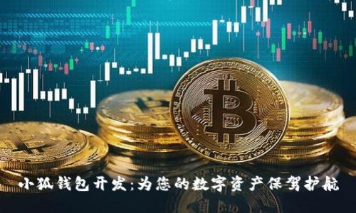 小狐钱包开发：为您的数字资产保驾护航
