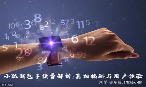 小狐钱包手续费解析：真相揭秘与用户体验