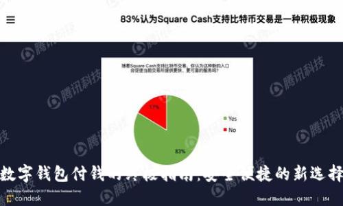 数字钱包付钱的终极指南：安全便捷的新选择