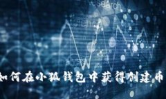 如何在小狐钱包中获得创