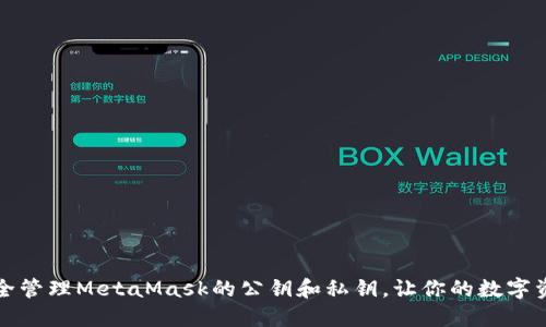 如何安全管理MetaMask的公钥和私钥，让你的数字资产无忧