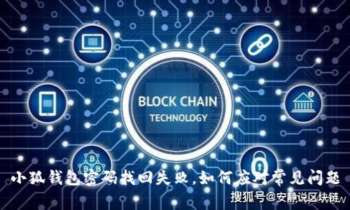 小狐钱包密码找回失败，如何应对常见问题