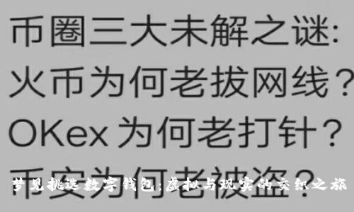 梦见挑选数字钱包：虚拟与现实的交织之旅