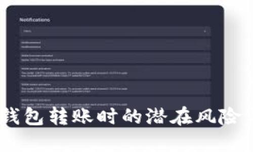 小心！数字钱包转账时的潜在风险与安全措施