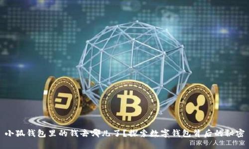 小狐钱包里的钱去哪儿了？探索数字钱包背后的秘密