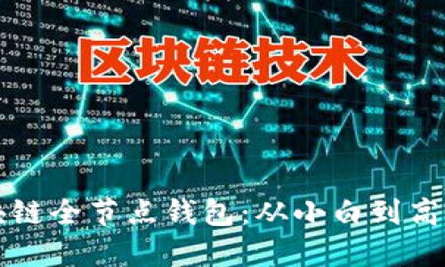 如何搭建区块链全节点钱包：从小白到高手的全面指南