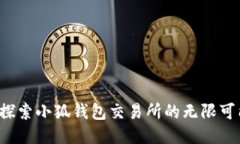  探索小狐钱包交易所的无