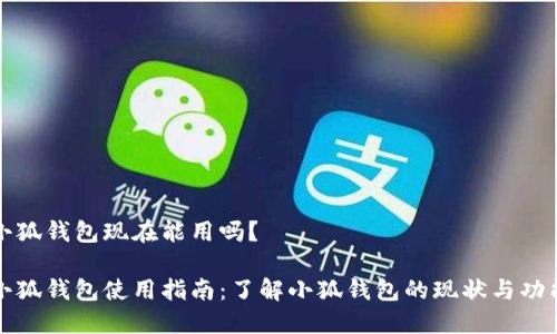 小狐钱包现在能用吗？

小狐钱包使用指南：了解小狐钱包的现状与功能