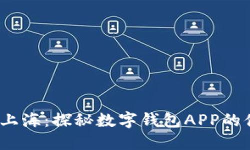 2023年上海：探秘数字钱包APP的便捷世界