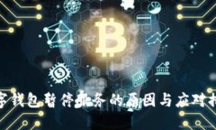 数字钱包暂停服务的原因