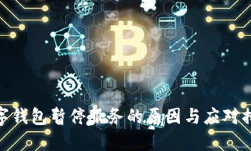 数字钱包暂停服务的原因与应对措施