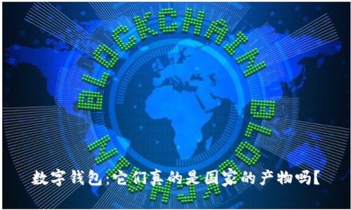 数字钱包：它们真的是国家的产物吗？