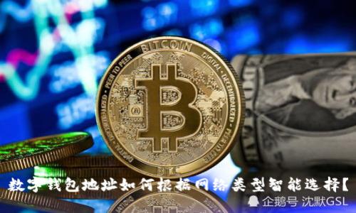 数字钱包地址如何根据网络类型智能选择？