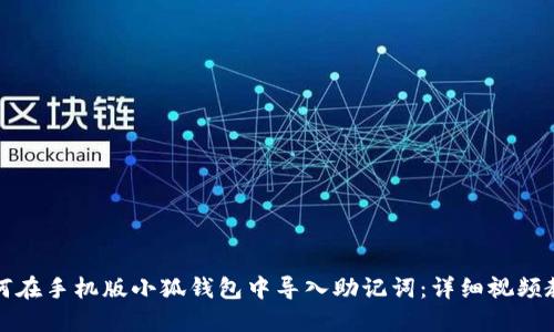 如何在手机版小狐钱包中导入助记词：详细视频教程