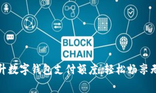 如何有效提升数字钱包支付额度，轻松畅享无忧消费体验