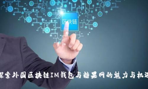 探索外国区块链IM钱包与糖果网的魅力与机遇