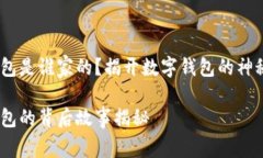 小狐钱包是谁家的？揭开