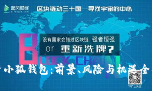 投资小狐钱包：前景、风险与机遇全解析