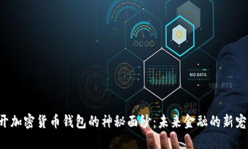 揭开加密货币钱包的神秘面纱：未来金融的新宠儿！