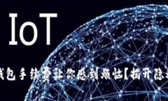 数字钱包手续费让你感到