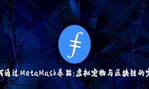 教你如何通过MetaMask养猫：虚拟宠物与区块链的完美结合