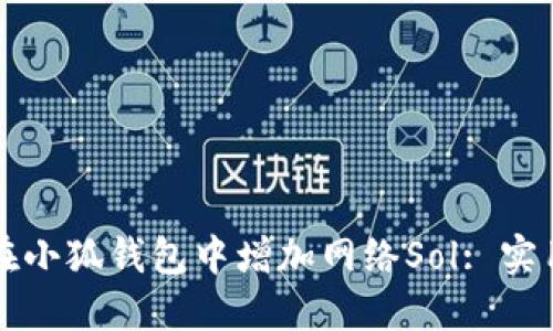 如何在小狐钱包中增加网络Sol: 实用指南