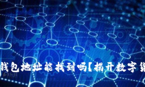 区块链的钱包地址能找到吗？揭开数字货币的秘密