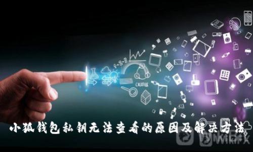 小狐钱包私钥无法查看的原因及解决方法