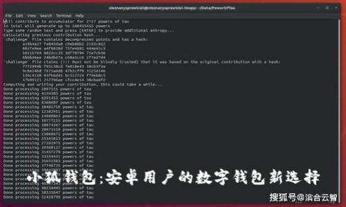 小狐钱包：安卓用户的数字钱包新选择