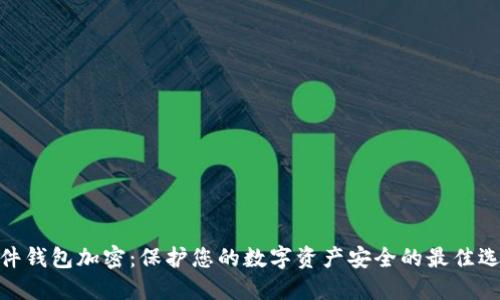 硬件钱包加密：保护您的数字资产安全的最佳选择
