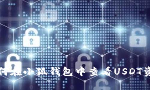 如何在小狐钱包中查看USDT资产