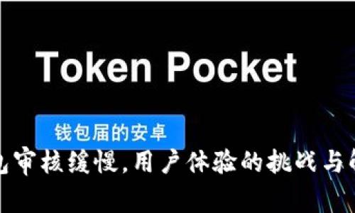 数字钱包审核缓慢，用户体验的挑战与解决方案