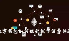 数字钱包如何提升线下消