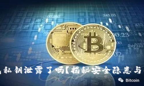小狐钱包私钥泄露了吗？揭秘安全隐患与解决方案