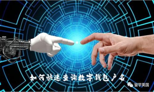 如何快速查询数字钱包户名