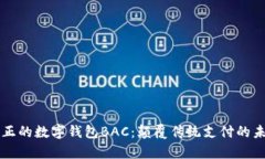 真正的数字钱包BAC：颠覆传统支付的未来