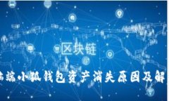 : 电脑端小狐钱包资产消失