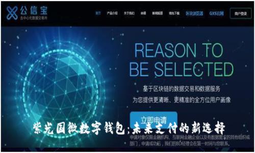 紫光国微数字钱包：未来支付的新选择