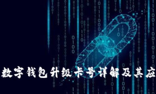: 数字钱包升级卡号详解及其应用