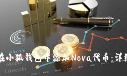 如何在小狐钱包中添加Nova代币:详细指南