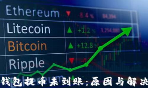 小狐钱包提币未到账:原因与解决方案