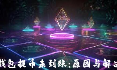小狐钱包提币未到账:原因与解决方案