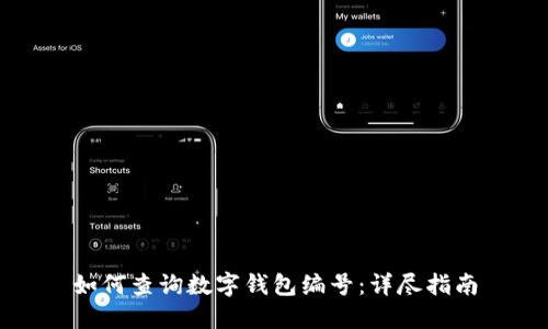 如何查询数字钱包编号:详尽指南