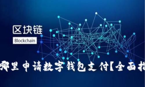 在哪里申请数字钱包支付？全面指南