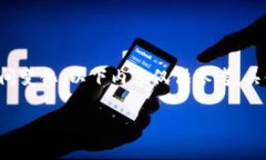 注意: 由于平台的功能和用