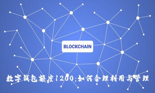 数字钱包额度1200：如何合理利用与管理