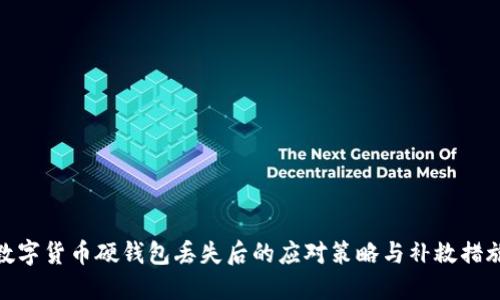 数字货币硬钱包丢失后的应对策略与补救措施