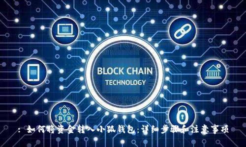 : 如何将资金转入小狐钱包：详细步骤和注意事项