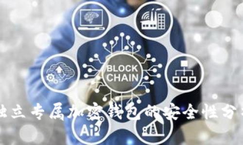 独立专属加密钱包的安全性分析